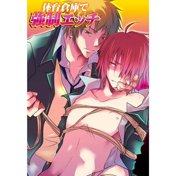 体育倉庫で強制エッチ 電子書籍版 / ぷよこ
