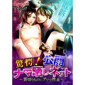 驚愕!公開ナマ晒しネット〜裏切りものにアソコ性裁〜 電子書籍版 / しゃくなげ｜ebookjapan