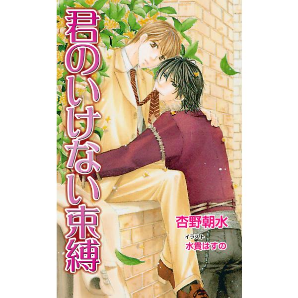 君のいけない束縛 電子書籍版 / 杏野朝水