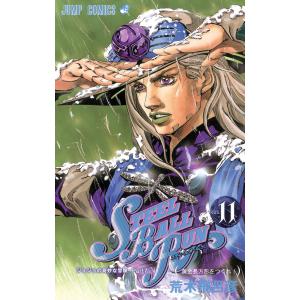 ジョジョの奇妙な冒険 第7部 スティール・ボール・ラン カラー版 (11) 電子書籍版 / 荒木飛呂彦｜ebookjapan