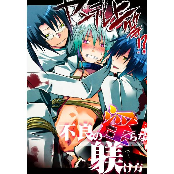 ヤンデレ上等!? 不良の淫らな躾け方 電子書籍版 / ぷよこ