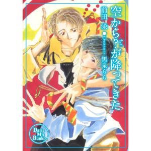 空から?(ナニ)が降ってきた 電子書籍版 / 前田 栄｜ebookjapan