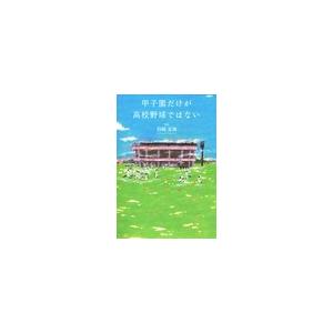 甲子園だけが高校野球ではない 電子書籍版 / 岩崎夏海 スポーツノンフィクション書籍の商品画像