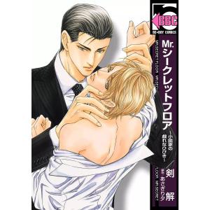 Mr.シークレットフロア〜小説家の戯れなひびき〜 電子書籍版 / 剣解 原作:あさぎり夕｜ebookjapan