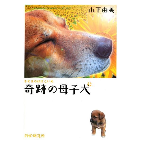 奇跡の母子犬 電子書籍版 / 著:山下由美