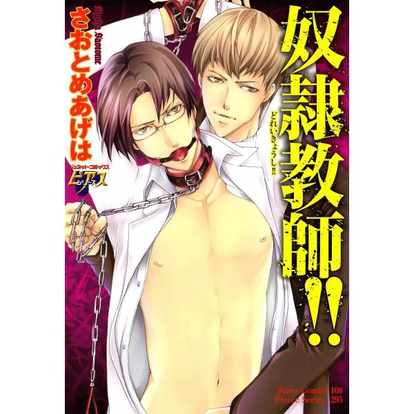 奴隷教師 電子書籍版 / さおとめあげは