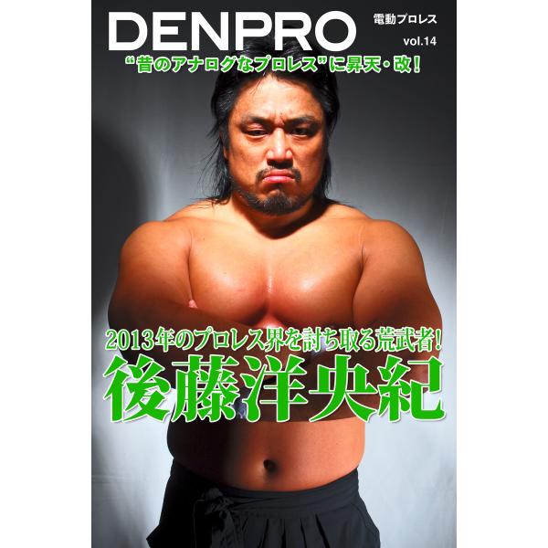 電動プロレス vol.14 電子書籍版 / 著者:電動プロレス編集部