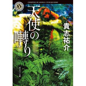 即納！洋書英語教育 ニューゴールデンディクショナリー/ The New