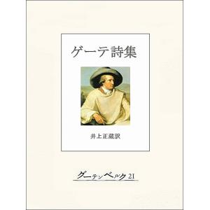 古本）ゲーテ詩集 ゲーテ著、高橋健二訳 新潮社 F00848 19510425発行