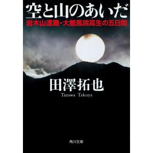 空と山のあいだ 岩木山遭難・大館鳳鳴高生の五日間 電子書籍版 / 著者:田澤拓也｜ebookjapan