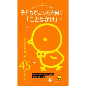 PYGLI能力育成問題集全40冊セット : ピグマリオンショップ - 通販