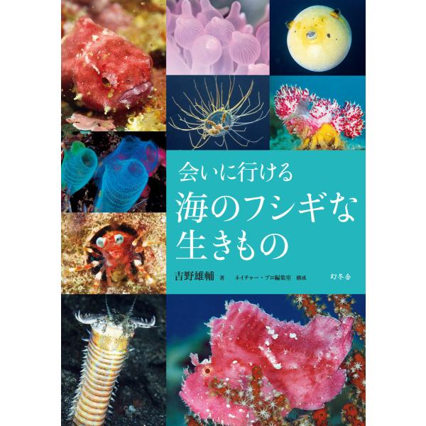 会いに行ける海のフシギな生きもの 電子書籍版 / 著:吉野雄輔