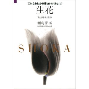 池坊 書籍 重要文化財指定九十三瓶図 専好立花の鑑賞 日本華道社