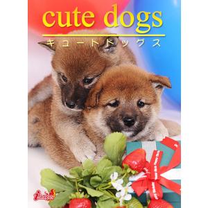 cute dogs05 柴犬 電子書籍版 / 編集:アキバ書房｜ebookjapan