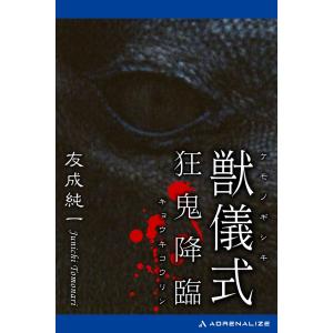 アンチ・アクション 日本戦後絵画と女性の画家/中嶋泉 : bookfan