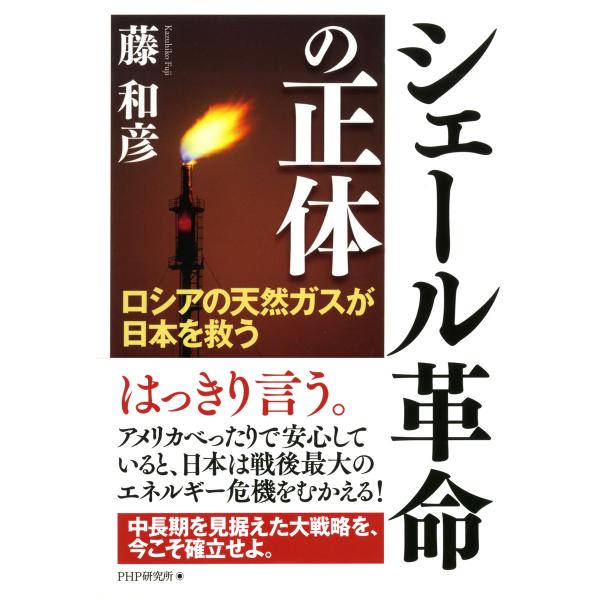 シェール革命の正体 ロシアの天然ガスが日本を救う 電子書籍版 / 著:藤和彦