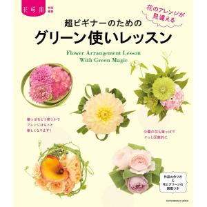 超ビギナーのためのグリーン使いレッスン 電子書籍版