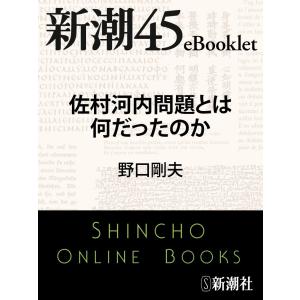 佐村河内問題とは何だったのか―新潮45eBooklet 電子書籍版 / 野口剛夫｜ebookjapan