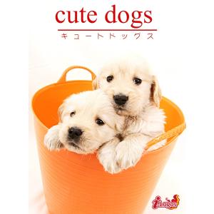 cute dogs19 ゴールデン・レトリバー 電子書籍版 / 編集:アキバ書房｜ebookjapan