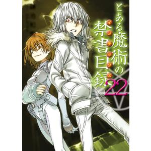 とある魔術の禁書目録(22) 電子書籍版 / 著者:鎌池和馬 イラスト:灰村キヨタカ 電撃文庫の商品画像