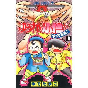 新品 / 忍者と極道 (1-16巻 最新刊) 全巻セット : 漫画全巻ドットコム