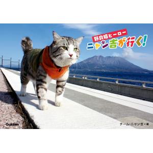 野良猫ヒーロー ニャン吉が行く! 電子書籍版 / チーム・ニャン吉｜ebookjapan