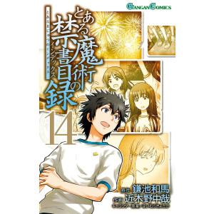とある魔術の禁書目録 34/鎌池和馬/近木野中哉 : bookfanプレミアム
