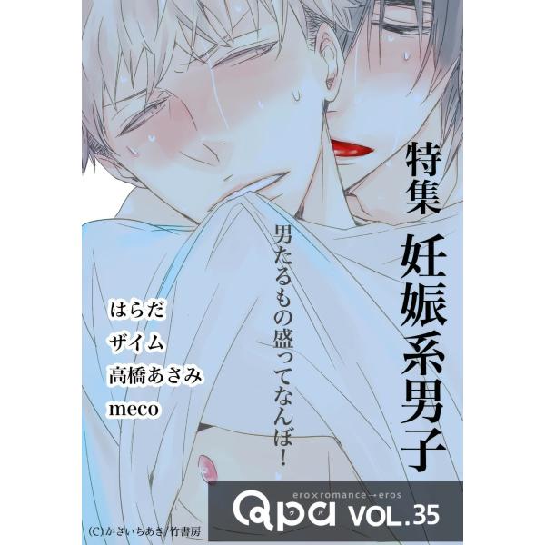Qpa vol.35 妊娠系男子 〜男たるもの盛ってなんぼ!〜 電子書籍版 / はらだ / ザイム ...