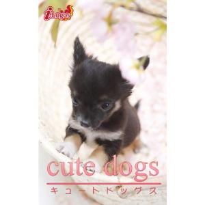 cute dogs17 チワワ 電子書籍版 / 編集:アキバ書房｜ebookjapan