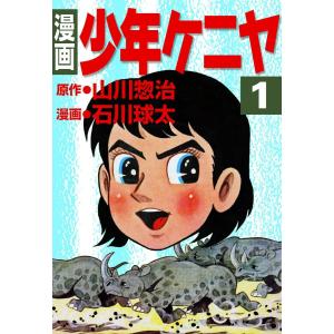 殺人犯はそこにいる 隠蔽された北関東連続幼女誘拐殺人事件/清水潔