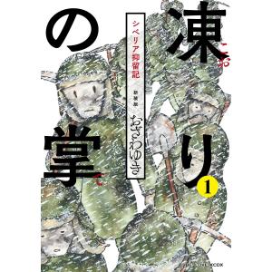 新品] のだめカンタービレ 新装版 全13巻完結 全巻セット : 六本木 蔦