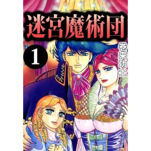 新品 / ライトノベル 幼女戦記 (全14冊) 全巻セット : 漫画全巻ドット