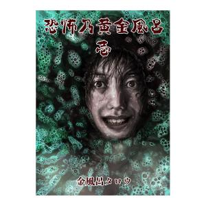 鳥瞰図 バーズアイマップ12 大阪絵図 天満橋 地図 日本 石原 正 : 宝文