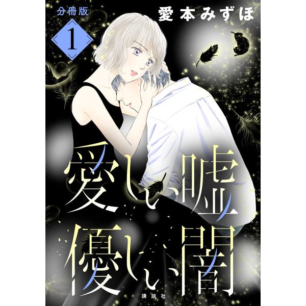 愛しい嘘 優しい闇 分冊版 (1〜5巻セット) 電子書籍版 / 愛本みずほ