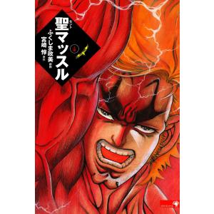 送料無料 孤高の人 全17巻 坂本眞一 新田次郎 登山 中古コミック 漫画