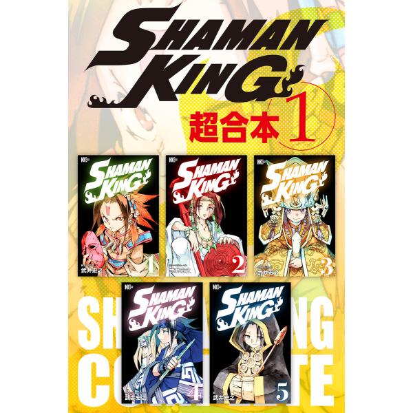 SHAMAN KING 超合本版 (全巻) 電子書籍版 / 武井宏之