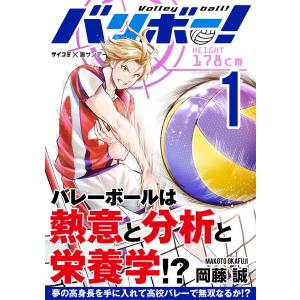 送料無料 孤高の人 全17巻 坂本眞一 新田次郎 登山 中古コミック 漫画