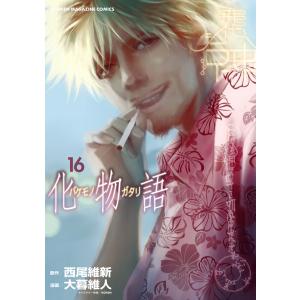 送料無料 化物語シリーズ 全29冊(結物語 忍物語 宵物語 余物語 扇物語