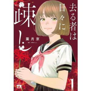 送料無料 文庫版 金田一少年の事件簿 1-34巻 推理 中古コミック 漫画