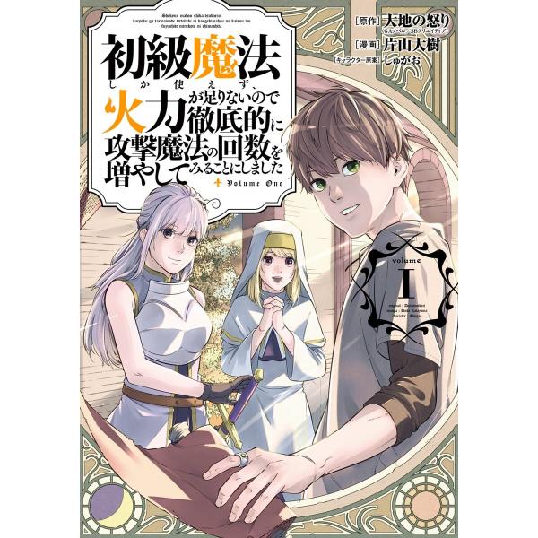 初級魔法しか使えず、火力が足りないので徹底的に攻撃魔法の回数を増やしてみることにしました (全巻) ...