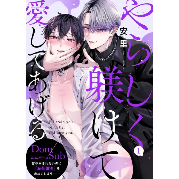 やらしく躾けて愛してあげる-Dom/Subユニバース- (1〜5巻セット) 電子書籍版 / 安里