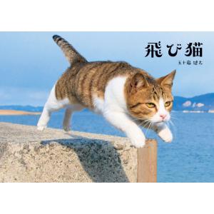 飛び猫 電子書籍版 / 写真撮影:五十嵐健太｜ebookjapan