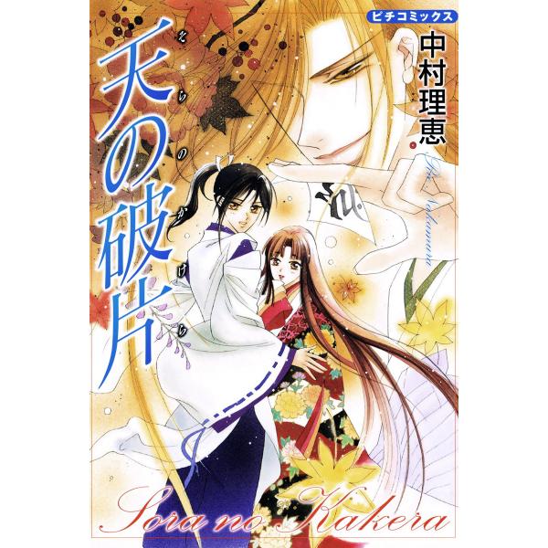 天の破片 電子書籍版 / 中村理恵