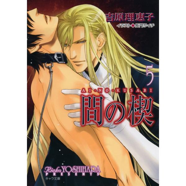 間の楔5 電子書籍版 / 吉原理恵子 イラスト:長門サイチ