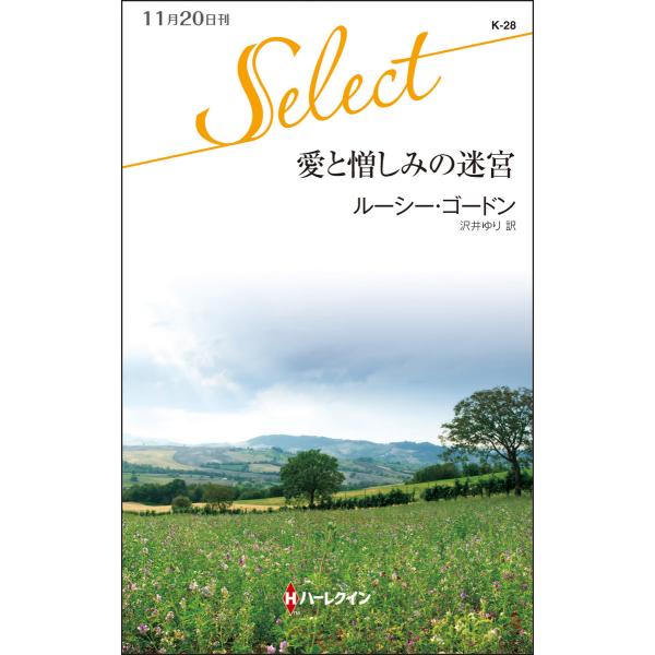 愛と憎しみの迷宮 電子書籍版 / ルーシー・ゴードン 翻訳:沢井ゆり