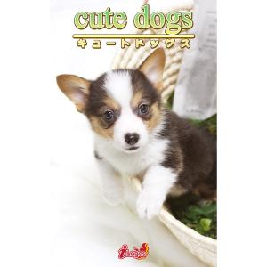 cute dogs35 ウェルシュ・コーギー 電子書籍版 / 編集:アキバ書房｜ebookjapan