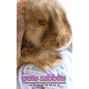 cute rabbits03 ミニロップ 電子書籍版 / 編集:アキバ書房｜ebookjapan