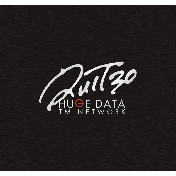 TM NETWORK 30th 1984〜 QUIT30 HUGE DATA 公式ツアーパンフレット...