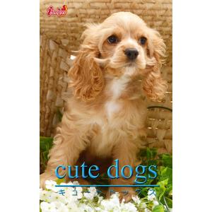 cute dogs36 アメリカンコッカースパニエル 電子書籍版 / 編集:アキバ書房｜ebookjapan