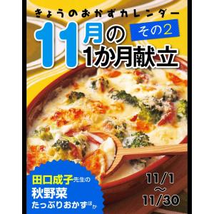 きょうのおかずカレンダー 11月の献立 その2 電子書籍版 / ライフ&フーズ編集室｜ebookjapan